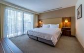 Туры в отель Holiday Inn San Jose La Sabana by IHG