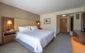 Туры в отель Holiday Inn San Jose La Sabana by IHG