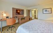 Туры в отель Holiday Inn San Jose La Sabana by IHG