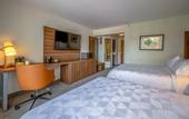 Туры в отель Holiday Inn San Jose La Sabana by IHG