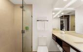 Туры в отель Holiday Inn San Jose La Sabana by IHG