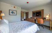 Туры в отель Holiday Inn San Jose La Sabana by IHG