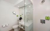 Туры в отель Holiday Inn San Jose La Sabana by IHG
