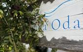 Туры в отель L'onda Oda Bodrum