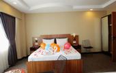 Туры в отель Green Palmiye Hotel
