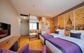 Туры в отель The Halich Hotel Istanbul