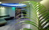 Туры в отель Lato Annex Boutique Rooms