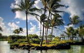 Туры в отель Grand Hyatt Kauai Resort & Spa