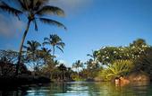 Туры в отель Grand Hyatt Kauai Resort & Spa
