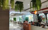 Туры в отель D Eco Wellness Center