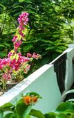 Туры в отель Awon Hotel Mirissa