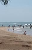 Туры в отель Awon Hotel Mirissa