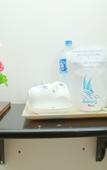 Туры в отель Awon Hotel Mirissa