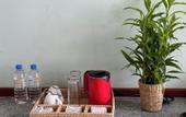 Туры в отель Coastline Mirissa Boutique Hotel and Spa