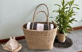 Туры в отель Coastline Mirissa Boutique Hotel and Spa
