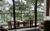 Туры в отель Coastline Mirissa Boutique Hotel and Spa