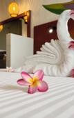 Туры в отель Coastline Mirissa Boutique Hotel and Spa