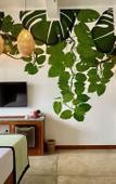 Туры в отель Coastline Mirissa Boutique Hotel and Spa