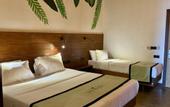 Туры в отель Coastline Mirissa Boutique Hotel and Spa