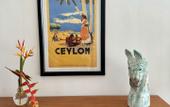 Туры в отель Coastline Mirissa Boutique Hotel and Spa
