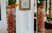 Туры в отель Coastline Mirissa Boutique Hotel and Spa
