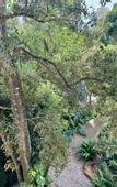 Туры в отель Coastline Mirissa Boutique Hotel and Spa