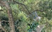 Туры в отель Coastline Mirissa Boutique Hotel and Spa