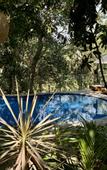 Туры в отель Coastline Mirissa Boutique Hotel and Spa