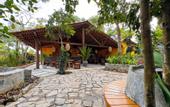 Туры в отель Coastline Mirissa Boutique Hotel and Spa