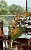 Туры в отель Coastline Mirissa Boutique Hotel and Spa