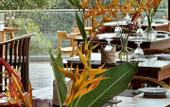 Туры в отель Coastline Mirissa Boutique Hotel and Spa