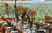 Туры в отель Coastline Mirissa Boutique Hotel and Spa