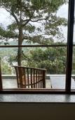 Туры в отель Coastline Mirissa Boutique Hotel and Spa