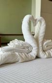 Туры в отель Coastline Mirissa Boutique Hotel and Spa