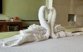 Туры в отель Coastline Mirissa Boutique Hotel and Spa