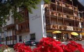 Туры в отель Alpino Hotel