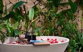 Туры в отель Sen Village Hoi An
