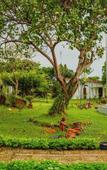 Туры в отель YNG-Luxor Resort Phu Quoc
