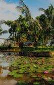 Туры в отель YNG-Luxor Resort Phu Quoc