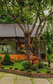 Туры в отель YNG-Luxor Resort Phu Quoc