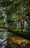 Туры в отель YNG-Luxor Resort Phu Quoc