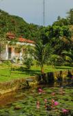 Туры в отель YNG-Luxor Resort Phu Quoc