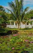 Туры в отель YNG-Luxor Resort Phu Quoc