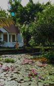Туры в отель YNG-Luxor Resort Phu Quoc