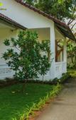 Туры в отель YNG-Luxor Resort Phu Quoc