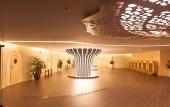 Туры в отель Flamingo Dai Lai Resort