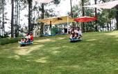Туры в отель Flamingo Dai Lai Resort
