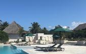 Туры в отель Tembo Kiwengwa Resort