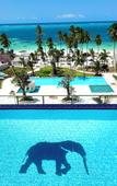 Туры в отель Tembo Kiwengwa Resort