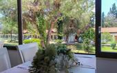 Туры в отель WB TRAVEL Serra Park